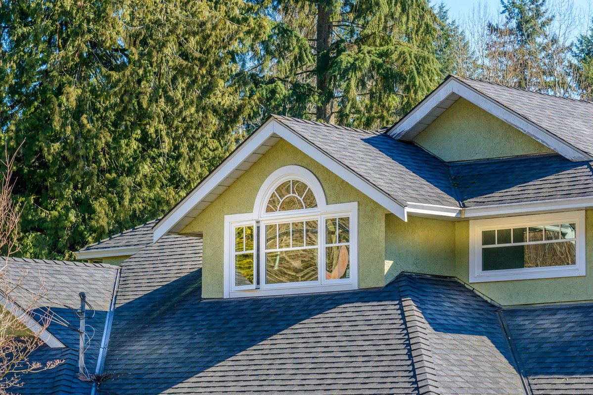 Professional Roof Replacement